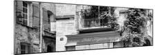 Photographic Print
