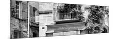 Photographic Print