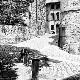 Premium Photographic Print