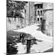 Premium Photographic Print