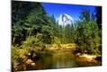Premium Photographic Print
