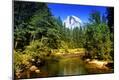 Photographic Print