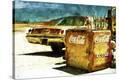 Stretched Canvas Print