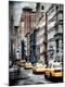 Photographic Print