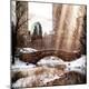 Premium Photographic Print