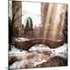 Premium Photographic Print