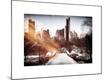 Premium Giclee Print