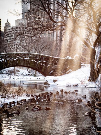 Photographic Print, , large