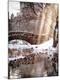 Photographic Print