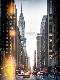 Premium Photographic Print