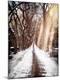 Photographic Print