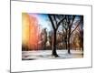 Premium Giclee Print