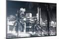 Photographic Print