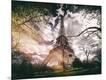 Photographic Print