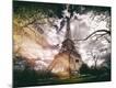 Premium Photographic Print