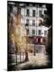 Photographic Print