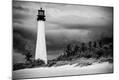 Photographic Print