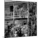 Photographic Print