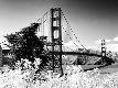Premium Photographic Print