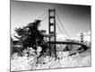 Premium Photographic Print