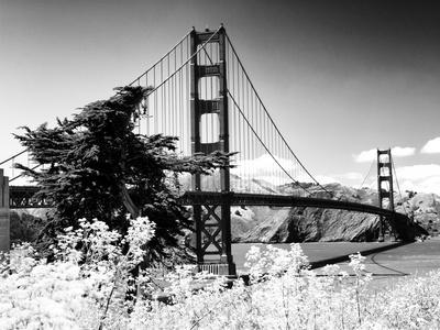 San Francisco in Black and White –