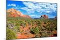 Photographic Print