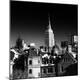 Photographic Print