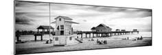 Photographic Print