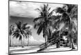 Photographic Print