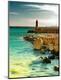 Premium Photographic Print