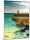 Premium Photographic Print
