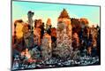Premium Giclee Print