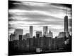 Photographic Print