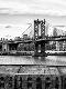 Premium Photographic Print