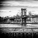 Premium Photographic Print