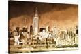 Stretched Canvas Print