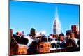 Premium Photographic Print