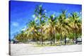 Stretched Canvas Print