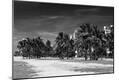 Photographic Print