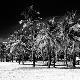 Premium Photographic Print