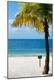 Premium Photographic Print