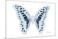 Premium Photographic Print