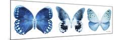 Premium Photographic Print