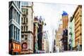 Stretched Canvas Print