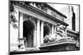 Photographic Print