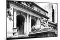 Photographic Print