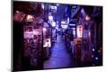 Photographic Print