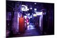 Photographic Print