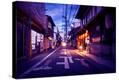 Stretched Canvas Print