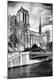 Photographic Print